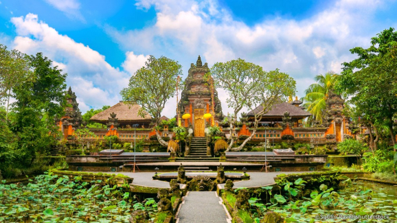 bali private driver and tours guide 