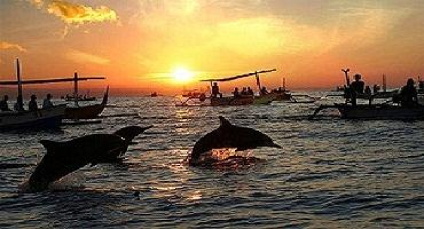 Best things to do in lovina bali