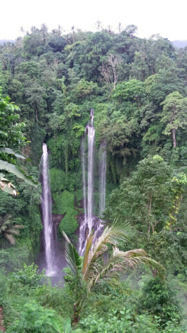 Where to find private taxi in ubud bali 