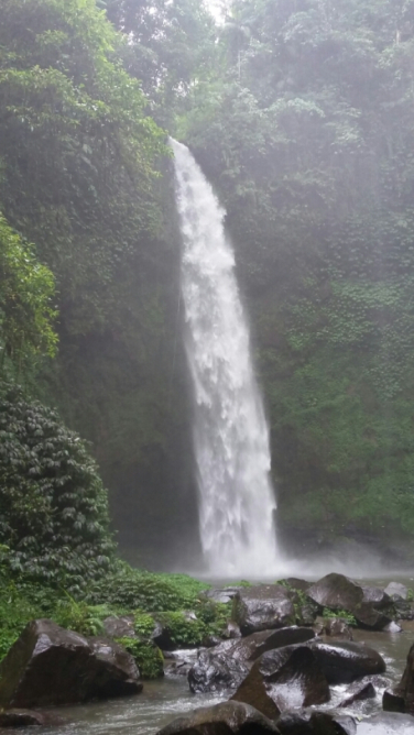 Where to find private taxi driver online in ubud