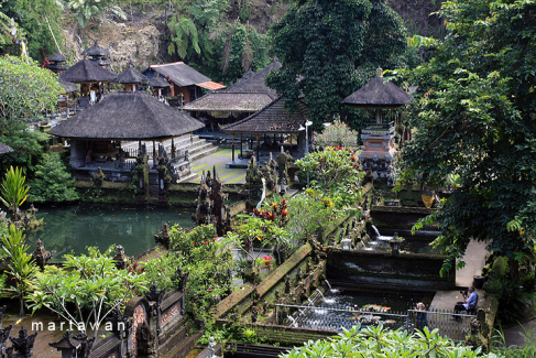 Driver in ubud - private day tour