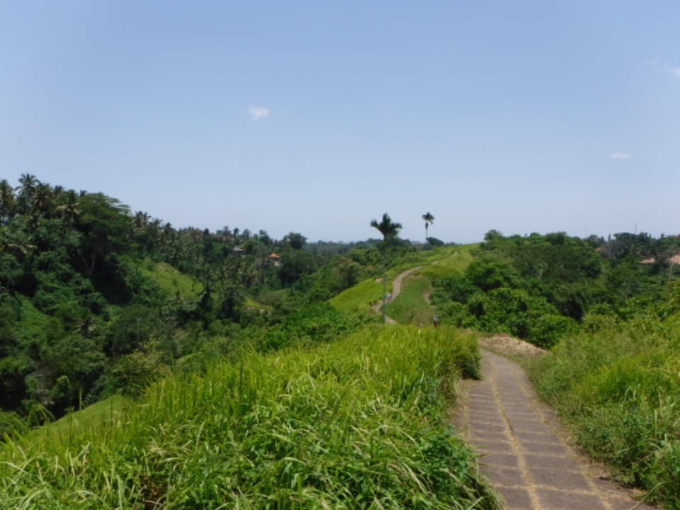 Where can we find good driver speaker english in ubud