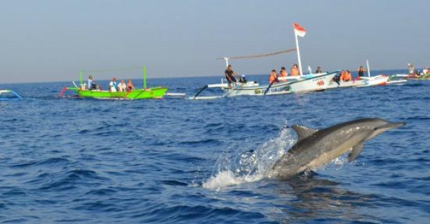 How much should a taxi cost from ubud to lovina