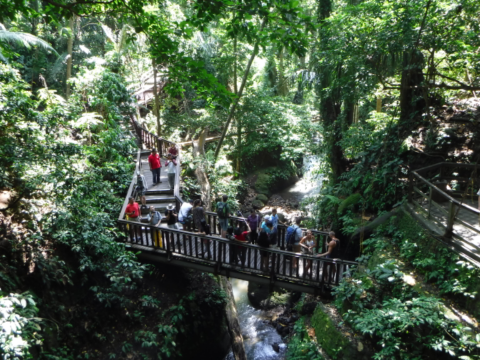 Where we go in bali see centere of arts 