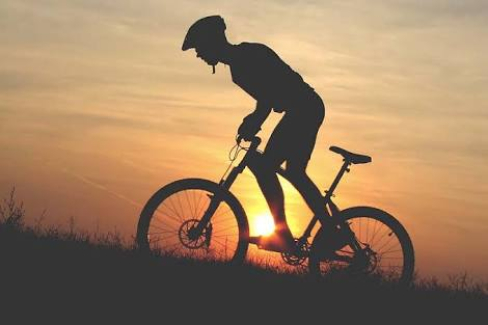 Bike tour ubud tripadvisor