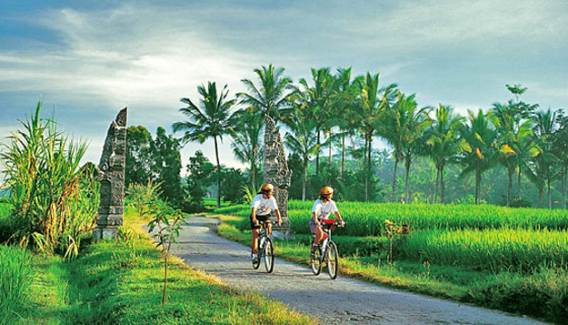 Push bike rental ubud 
