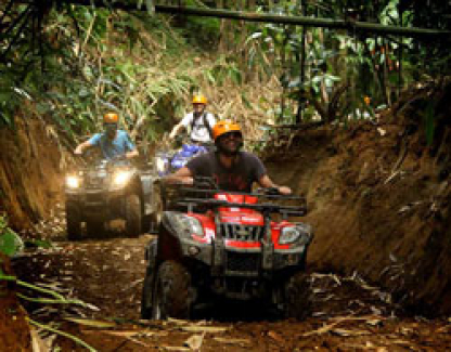 bali private driver and tours guide 