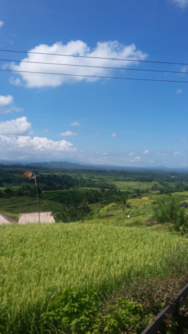 Where can see sunrise in bali