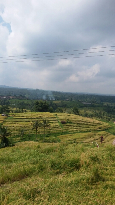 Where we go in bali see for holidays