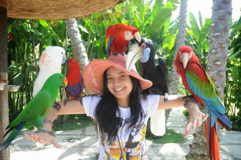 Ubud private tour guide