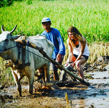 How much does it cost a private taxi in legian to ubud