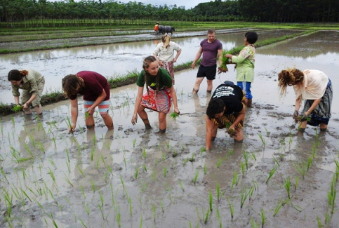 How much does taxi cost from ubud to sanur 