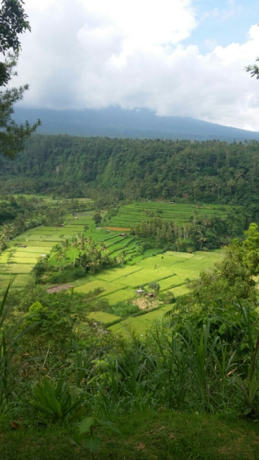 Where we find good view volcano in biggest