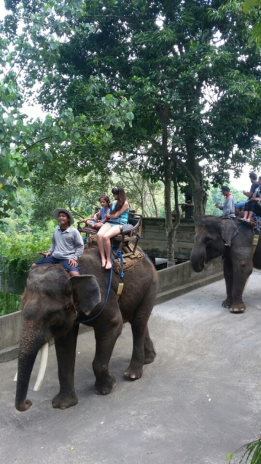 Where can we go for see for holidays in ubud bali