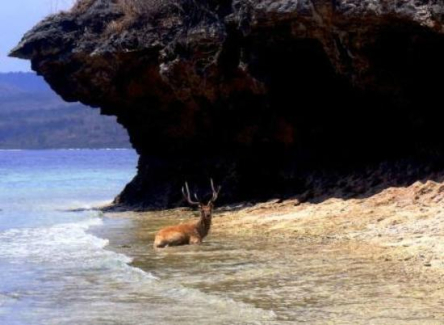 Transport pemuteran ubud