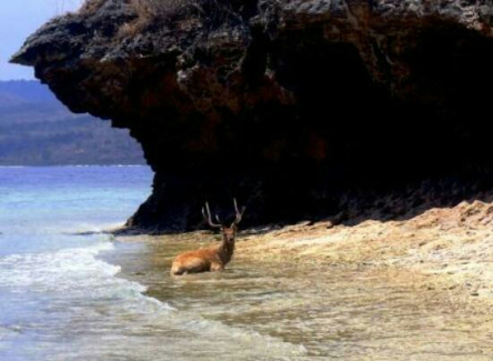 Taxi from bali airport to pemuteran bali