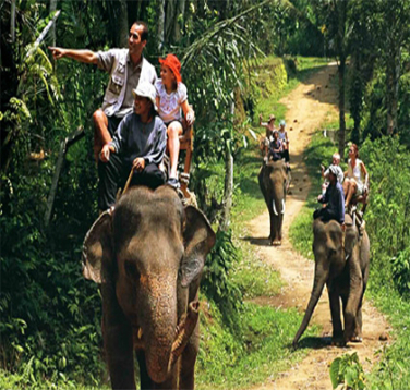 Full day bali safari with marine park 