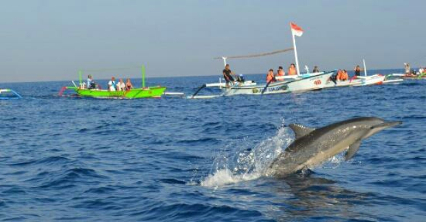 Transfer from pemuteran to ubud