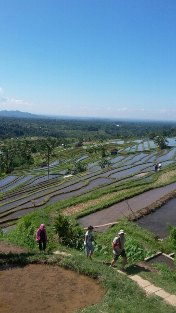 Where to go in ubud bali