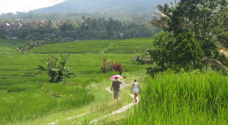 airport transfer from bali airport international airport)