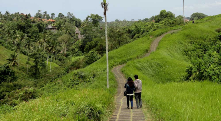 bali driver for a day cost