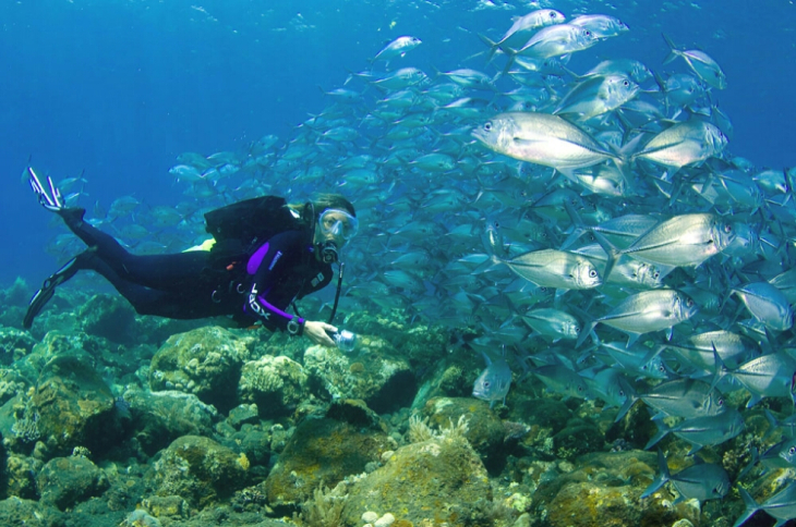 How much will it cost to travel around lembongan today