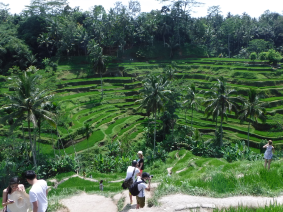 transfer from ubud to art village tour