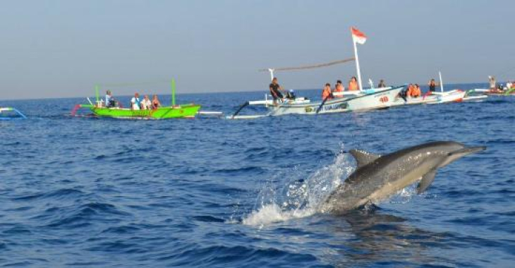 How much should a taxi cost from ubud to lovina