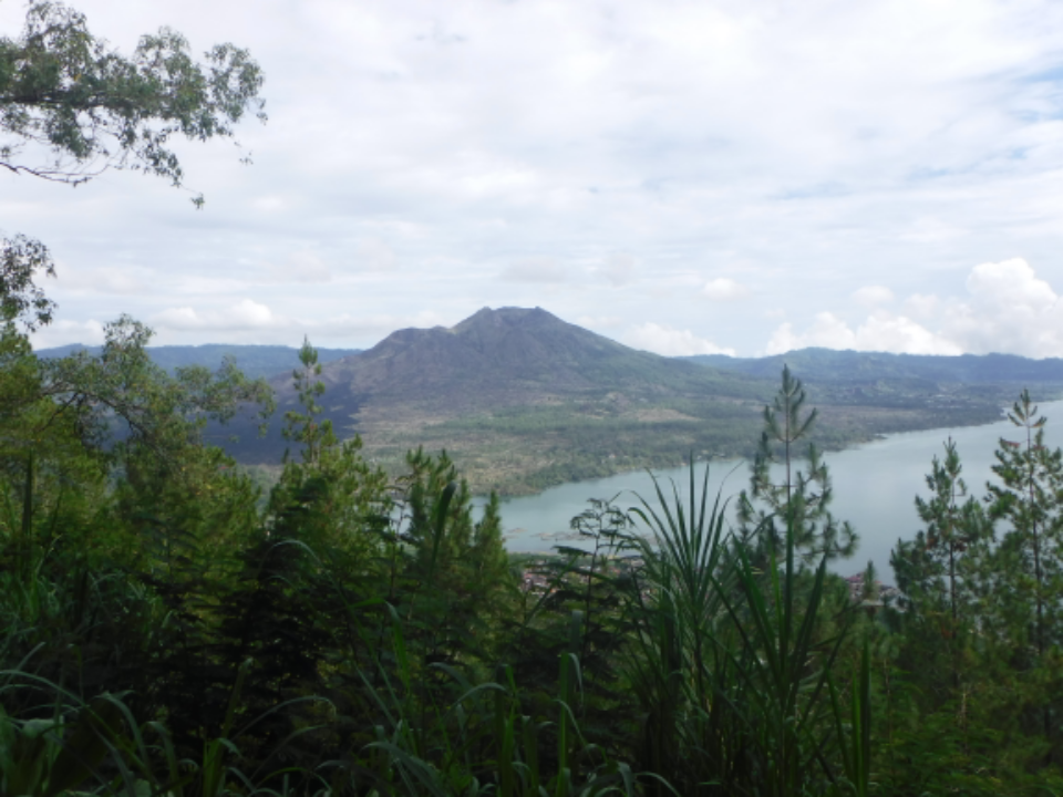 Where can we find good price for the private taxi in ubud bali