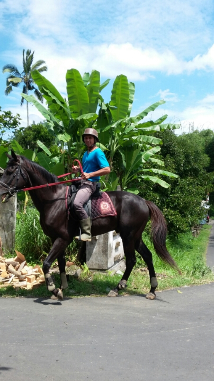 Transfer from ubud to horse riding 