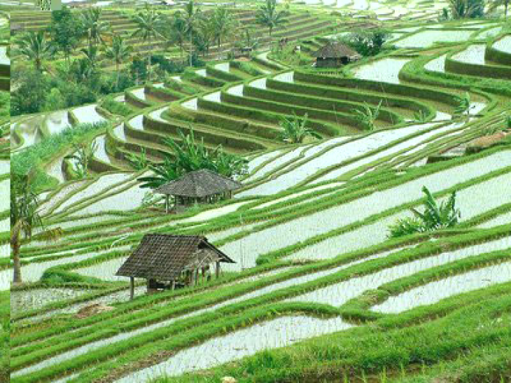 Famoust places in bali
