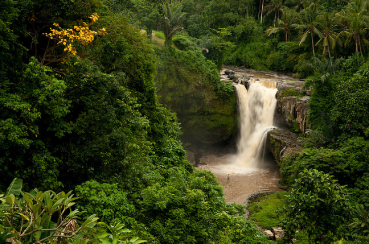 Ubud waterfall tour kota denpasar 