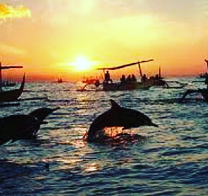 What is the cost of a taxi from lovina bali