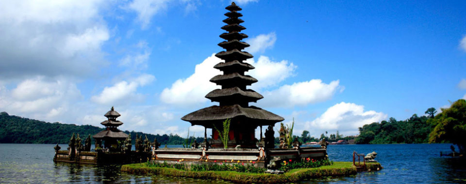 airport transfer bali denpasar to ubud