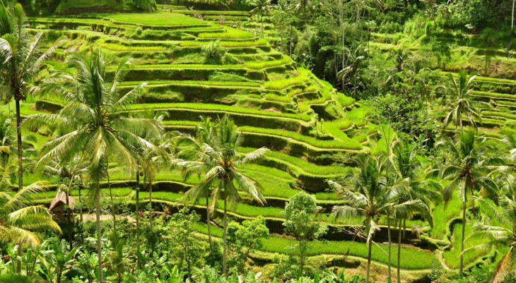 airport transfer from bali airport indonesia