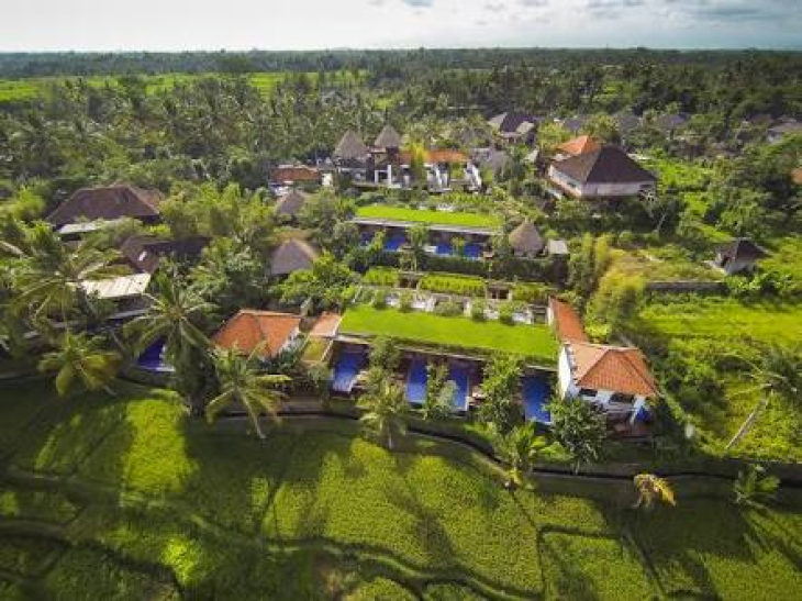 Best view vila in ubud