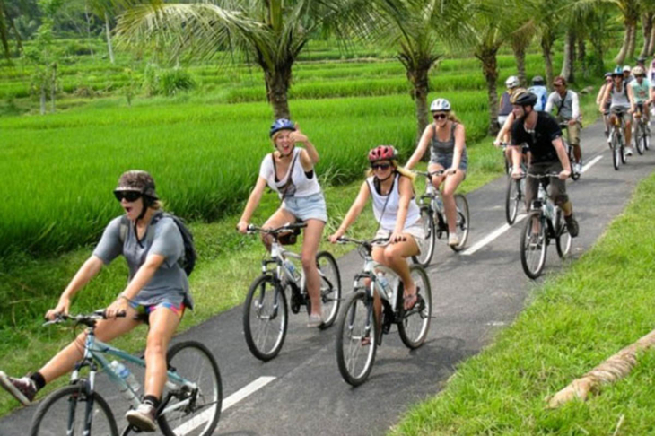 Ubud bali bicycle tours-private tour