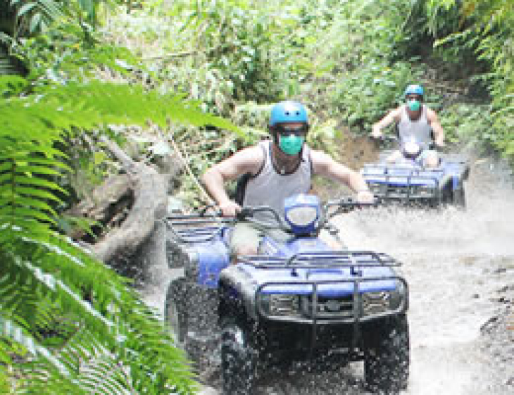 How much to driver cost