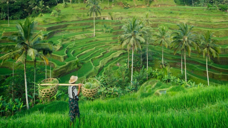 bali atv and white water rafting guide 2019