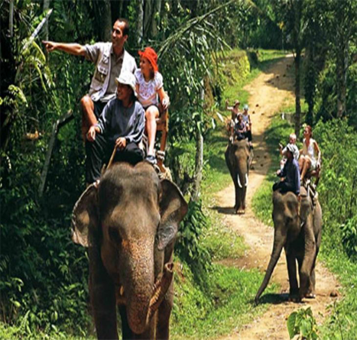 Airport transfer from  denpasar to